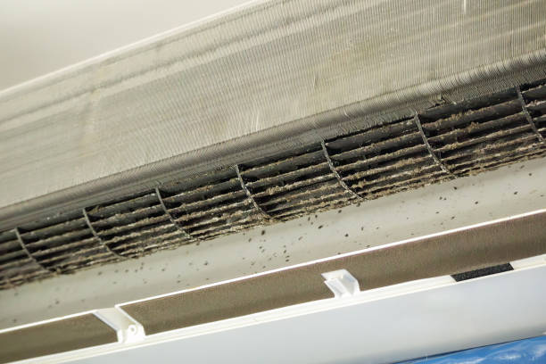 Best Mold and Mildew Removal from Ducts in Auburn, ME